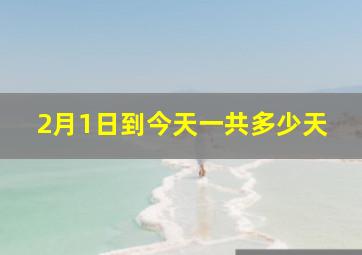 2月1日到今天一共多少天