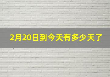 2月20日到今天有多少天了