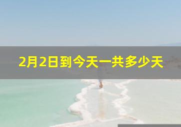 2月2日到今天一共多少天