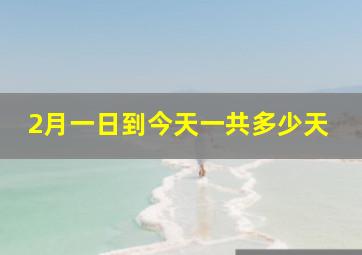 2月一日到今天一共多少天