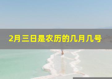 2月三日是农历的几月几号