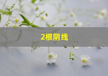 2根阴线