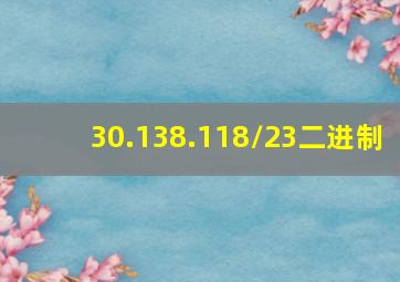 30.138.118/23二进制