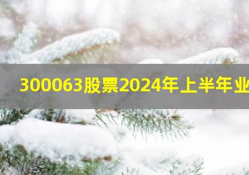 300063股票2024年上半年业绩