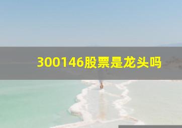 300146股票是龙头吗