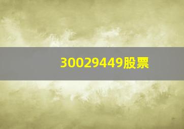 30029449股票