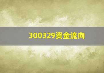 300329资金流向