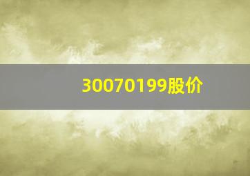 30070199股价