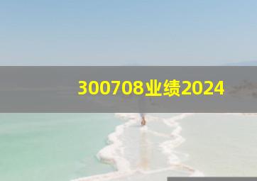 300708业绩2024