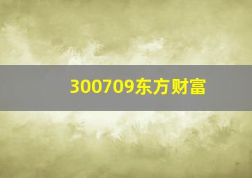 300709东方财富