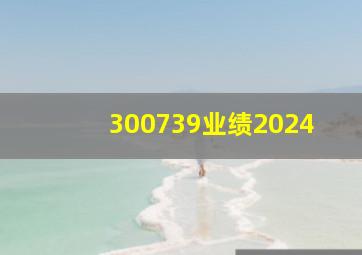 300739业绩2024