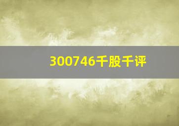 300746千股千评