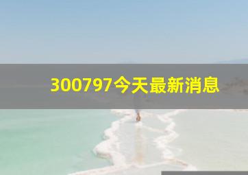 300797今天最新消息