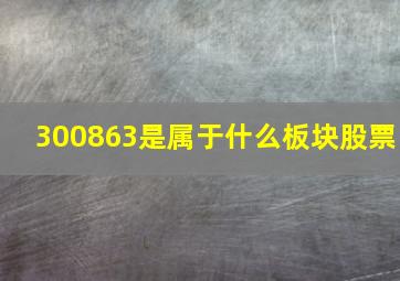 300863是属于什么板块股票