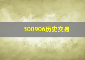 300906历史交易