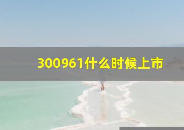 300961什么时候上市