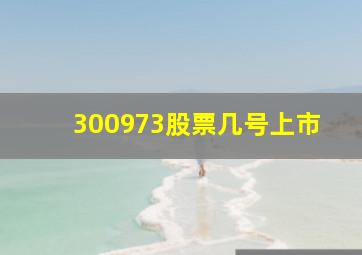 300973股票几号上市