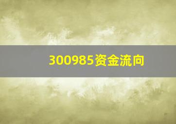 300985资金流向