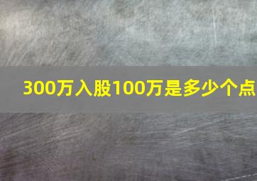 300万入股100万是多少个点