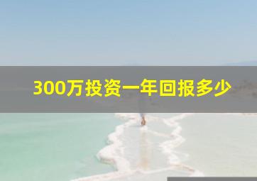 300万投资一年回报多少