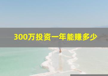 300万投资一年能赚多少