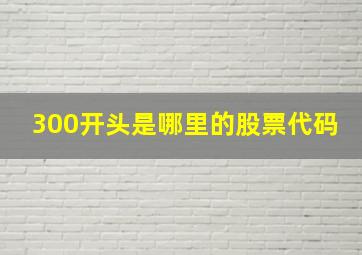 300开头是哪里的股票代码