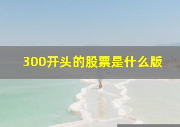 300开头的股票是什么版