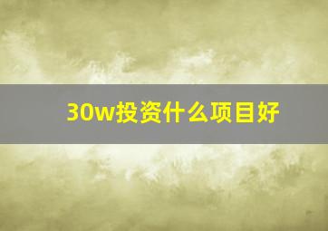 30w投资什么项目好