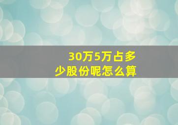 30万5万占多少股份呢怎么算