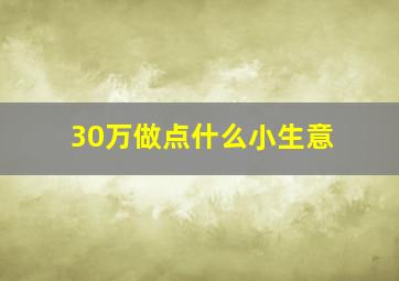 30万做点什么小生意