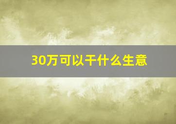 30万可以干什么生意