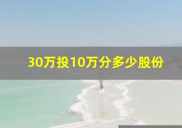 30万投10万分多少股份