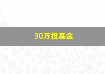 30万投基金