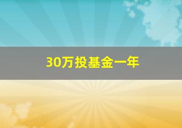 30万投基金一年