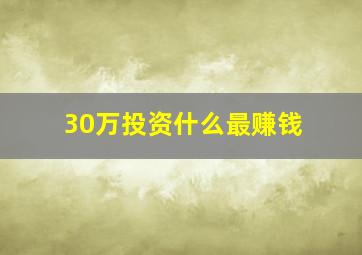 30万投资什么最赚钱