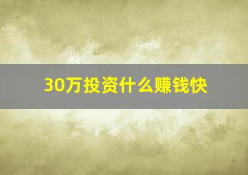 30万投资什么赚钱快