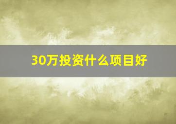 30万投资什么项目好