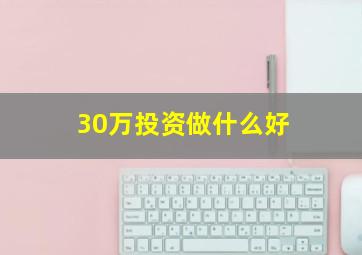 30万投资做什么好