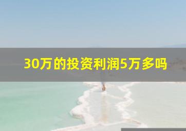 30万的投资利润5万多吗