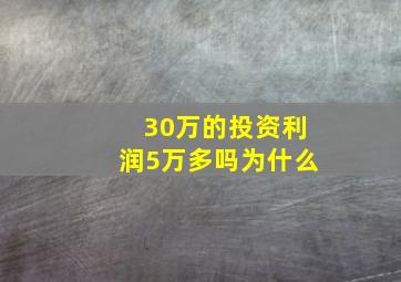 30万的投资利润5万多吗为什么