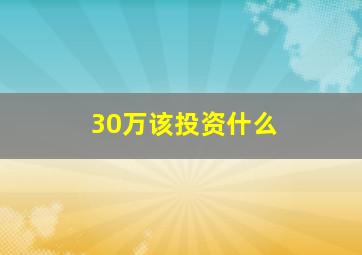 30万该投资什么