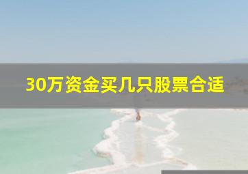 30万资金买几只股票合适