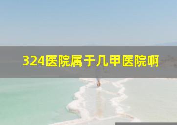 324医院属于几甲医院啊