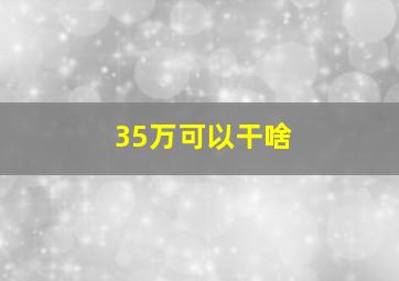 35万可以干啥