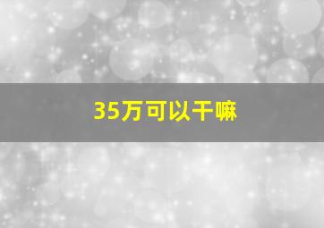 35万可以干嘛