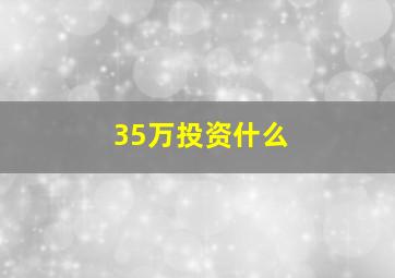 35万投资什么