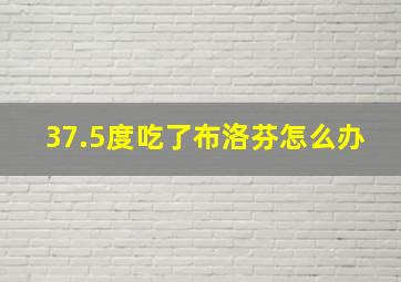 37.5度吃了布洛芬怎么办