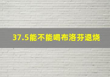 37.5能不能喝布洛芬退烧