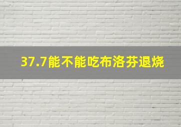 37.7能不能吃布洛芬退烧