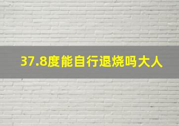 37.8度能自行退烧吗大人